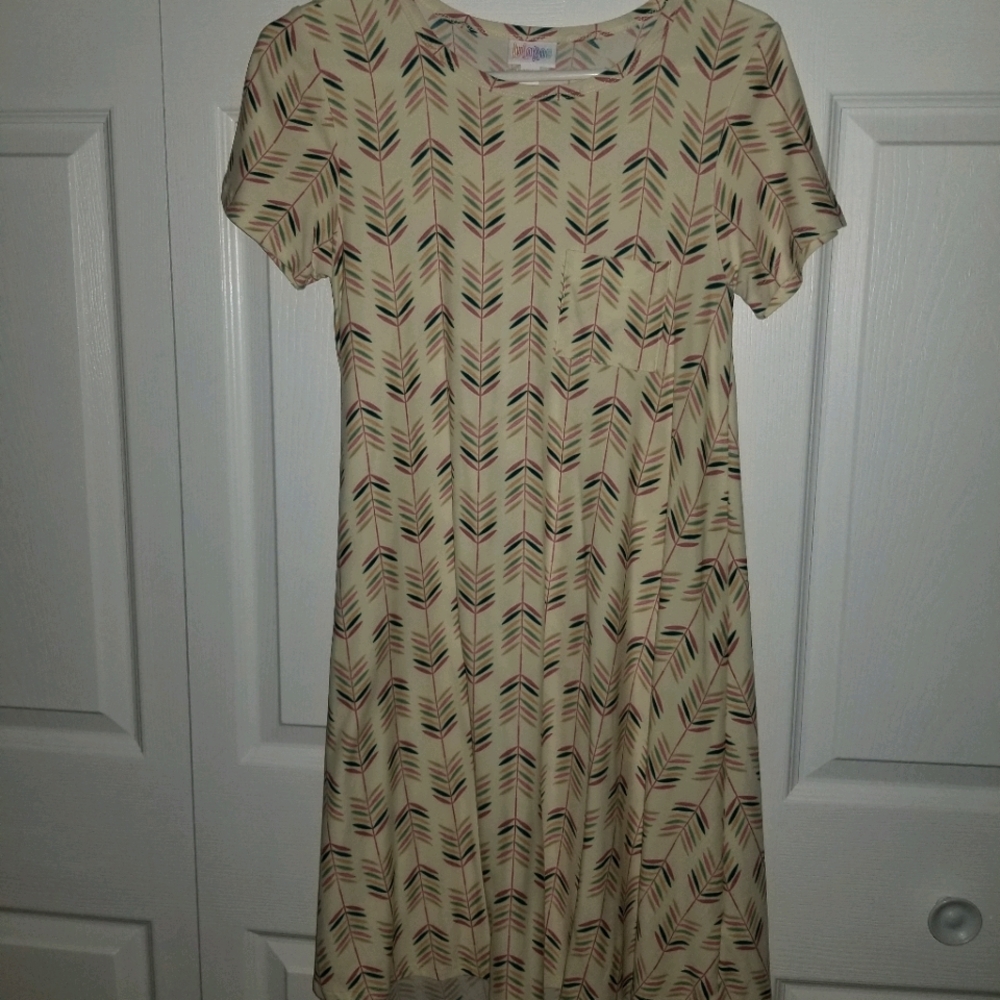 LuLaRoe dress